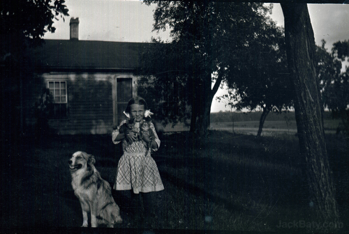 Girl holding kittens