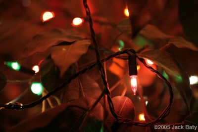 Christmas Light